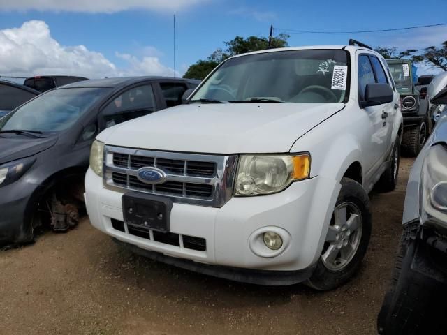 2009 Ford Escape XLT