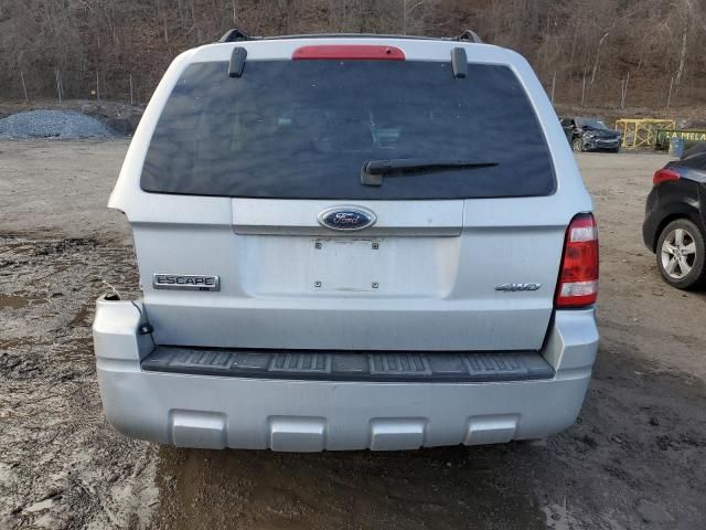 2009 Ford Escape XLT