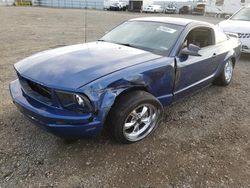 Salvage cars for sale at Vallejo, CA auction: 2006 Ford Mustang