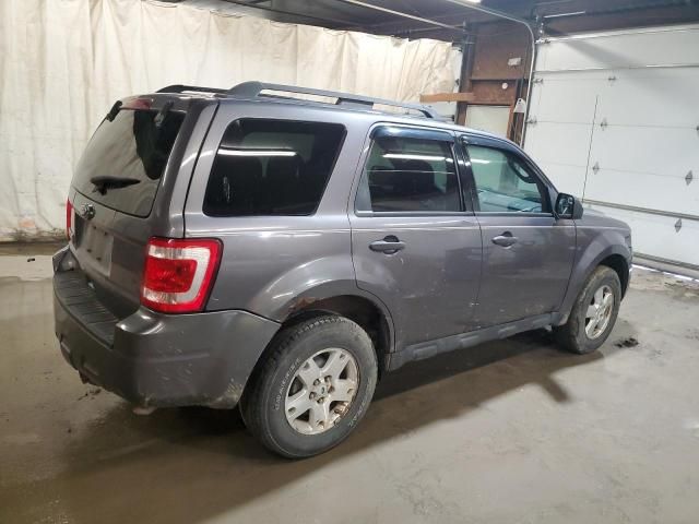 2010 Ford Escape XLT