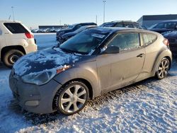 Hyundai Veloster salvage cars for sale: 2013 Hyundai Veloster