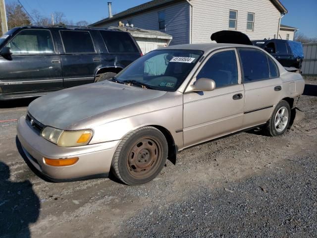 1995 Toyota Corolla LE