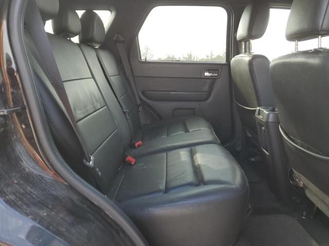 2010 Ford Escape Limited