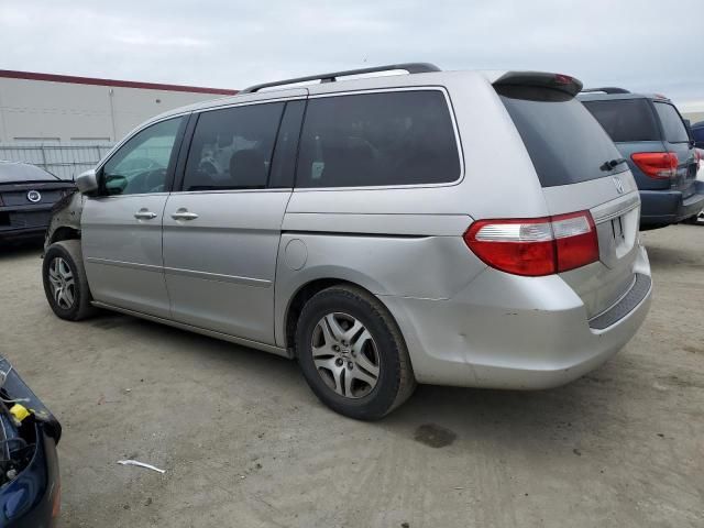 2006 Honda Odyssey EXL