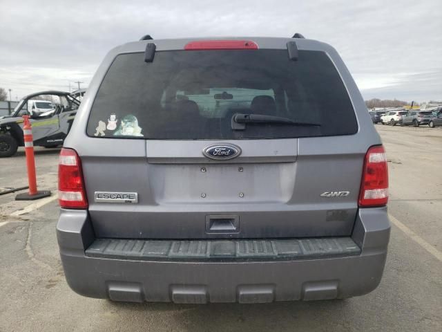 2008 Ford Escape XLT