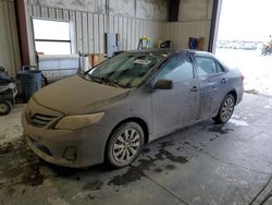 Salvage cars for sale at Helena, MT auction: 2013 Toyota Corolla Base