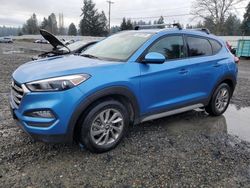 Salvage cars for sale at Graham, WA auction: 2018 Hyundai Tucson SEL