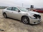 2009 Nissan Maxima S