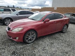 Lexus Vehiculos salvage en venta: 2008 Lexus IS 350