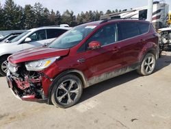 2017 Ford Escape SE en venta en Eldridge, IA