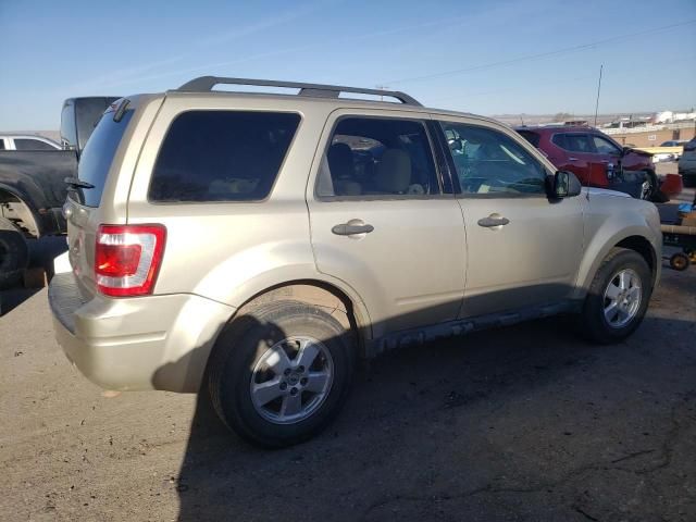 2012 Ford Escape XLT