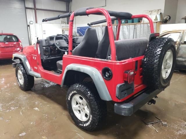 2002 Jeep Wrangler / TJ X