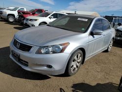 Honda salvage cars for sale: 2010 Honda Accord EXL