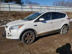 Salvage cars for sale from Copart Davison, MI: 2013 Ford Escape SEL