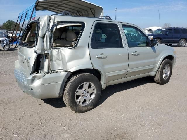 2005 Ford Escape Limited