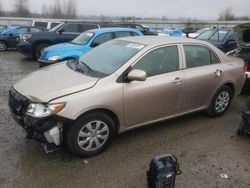 Salvage cars for sale from Copart Arlington, WA: 2009 Toyota Corolla Base