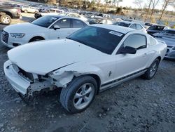 Salvage cars for sale at Byron, GA auction: 2007 Ford Mustang