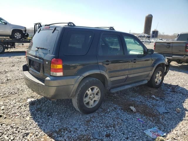 2006 Ford Escape XLT