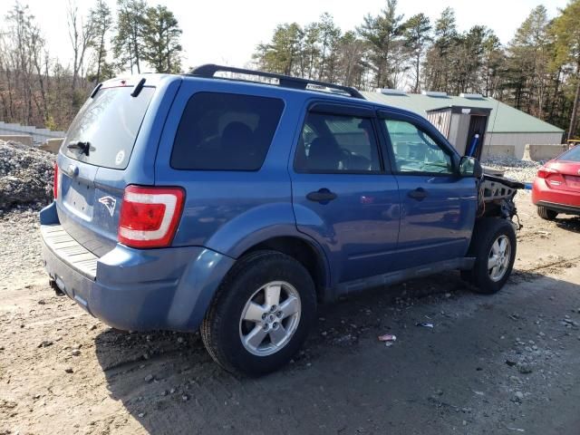 2010 Ford Escape XLT