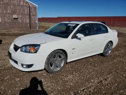 Chevrolet salvage cars for sale: 2007 Chevrolet Malibu SS