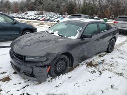 Dodge Charger salvage cars for sale: 2020 Dodge Charger SXT