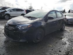 Salvage cars for sale at Eugene, OR auction: 2014 Toyota Corolla L