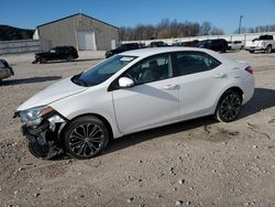 Salvage cars for sale at Lawrenceburg, KY auction: 2016 Toyota Corolla L