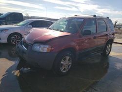 Ford Escape XLT Vehiculos salvage en venta: 2003 Ford Escape XLT