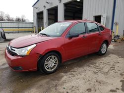 Ford Focus salvage cars for sale: 2010 Ford Focus SE