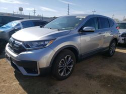Salvage cars for sale at Chicago Heights, IL auction: 2020 Honda CR-V EXL