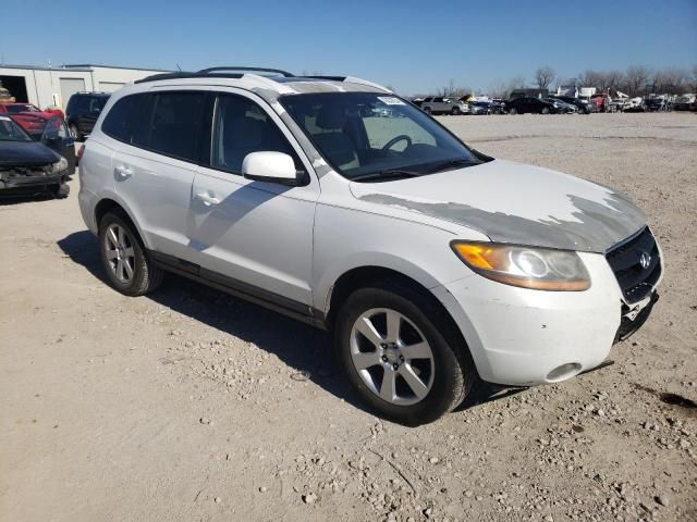 2009 Hyundai Santa FE SE