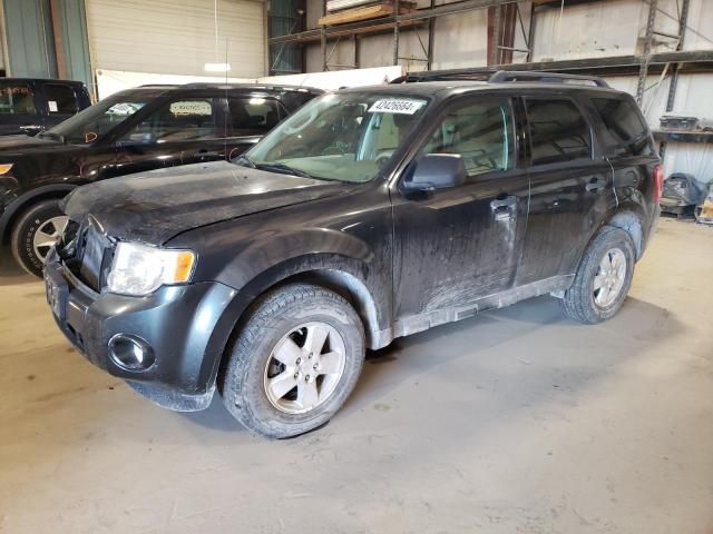 2009 Ford Escape XLT