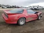 1988 Pontiac Firebird Trans AM