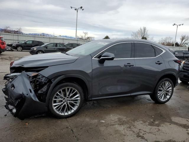 2024 Lexus NX 350 Luxury