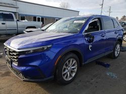 Salvage cars for sale at New Britain, CT auction: 2023 Honda CR-V EXL