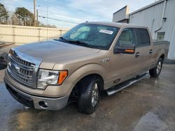 Salvage cars for sale at Montgomery, AL auction: 2013 Ford F150 Supercrew