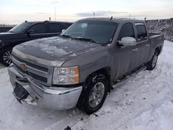 Salvage cars for sale from Copart Anchorage, AK: 2013 Chevrolet Silverado K1500 Hybrid