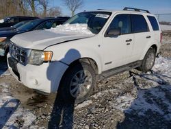 Salvage cars for sale from Copart Cicero, IN: 2008 Ford Escape XLT