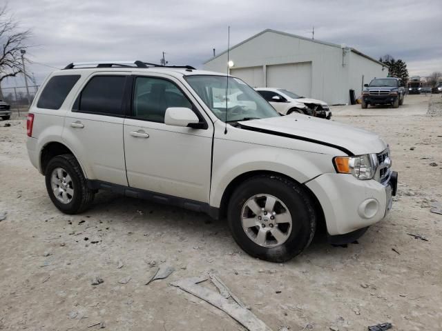 2012 Ford Escape Limited