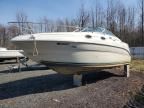 2001 Sea Ray Boat