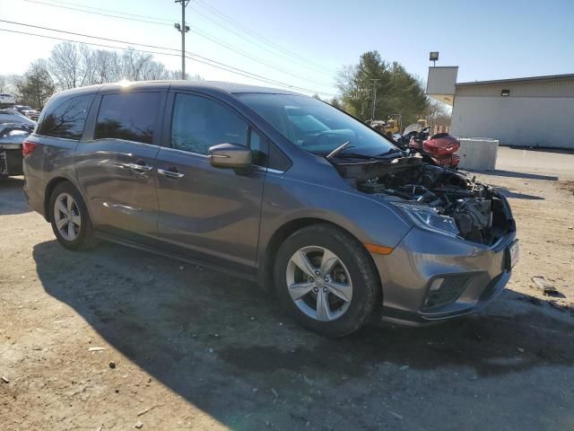 2019 Honda Odyssey EXL