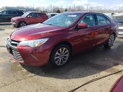 Salvage cars for sale from Copart Louisville, KY: 2015 Toyota Camry LE