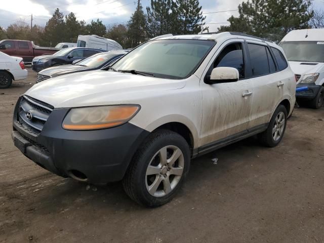 2009 Hyundai Santa FE SE