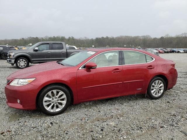 2014 Lexus ES 300H