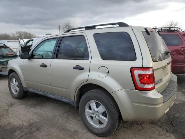 2010 Ford Escape XLS