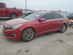 2017 Hyundai Sonata SE for sale in Indianapolis, IN