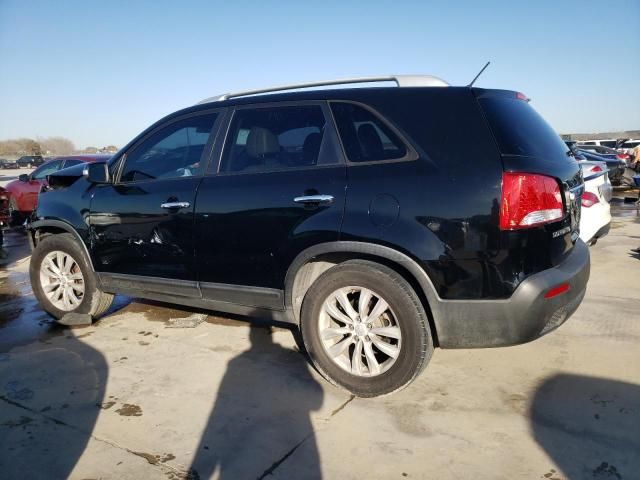 2011 KIA Sorento Base