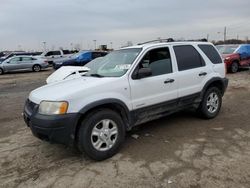 2001 Ford Escape XLT en venta en Indianapolis, IN