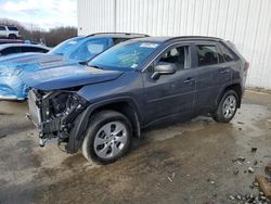 Salvage cars for sale at Windsor, NJ auction: 2019 Toyota Rav4 LE