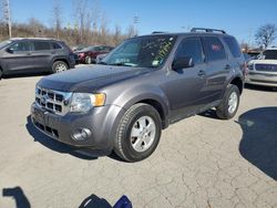 Ford Escape XLT salvage cars for sale: 2012 Ford Escape XLT